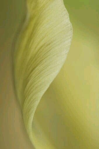 Suplementación Femenina